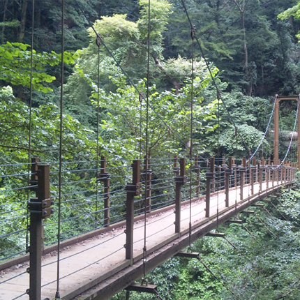 高尾山吊り橋